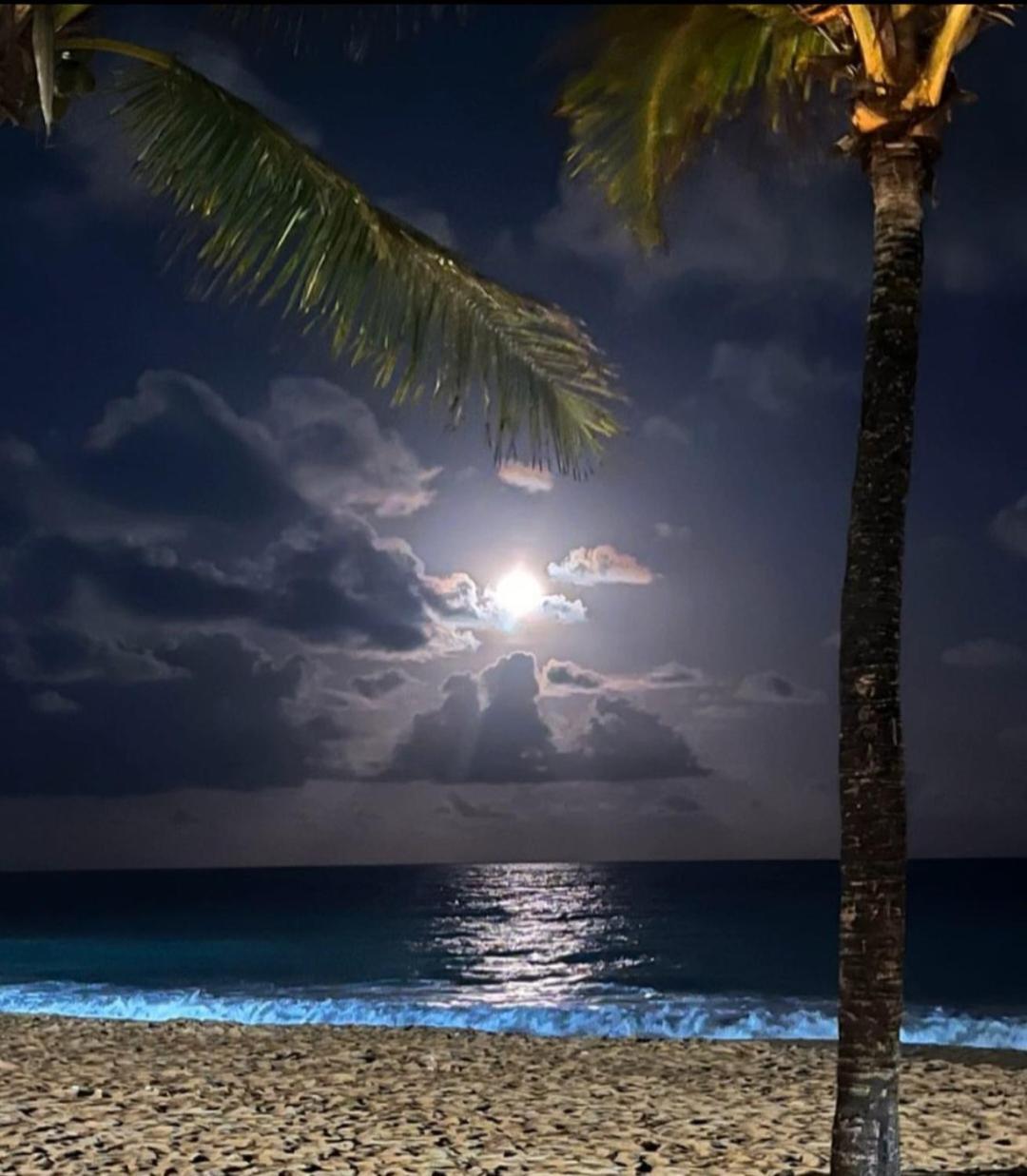 Maraca Beach Residence Ll Ap 220 Pôrto das Galinhas エクステリア 写真